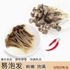 圣耳 鹿茸菇40g/袋 高山脆脆菇 商品缩略图5