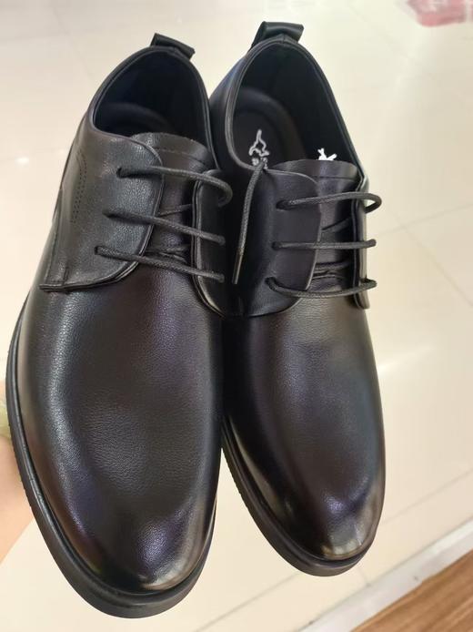 森林袋鼠8003 商品图0