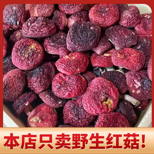 【武夷山红菇】| 元和优选 福建道地产区武夷山正红蓝底大红菇100g/袋 汤色红艳鲜甜 春日养颜补血汤 商品图1