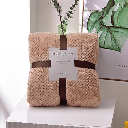 跨境毯子加厚菠萝格毛毯纯色网眼法兰绒毛毯贝贝绒外贸礼品毯批发 商品图2