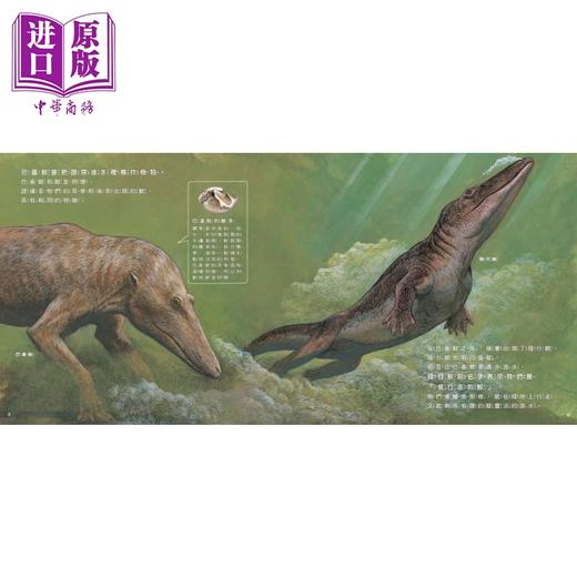 【中商原版】从陆地到海洋 鲸的演化 新的鲸知识 海洋科学绘本 港台原版 儿童知识绘本 自然科学读物 动物百科图画书 精装童书 商品图2