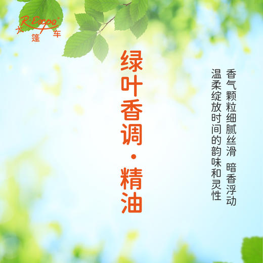 绿叶香调·精油 植物精油 适用香水沙龙 护肤洗护产品 大篷车精油 商品图1