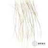 永生花 | 干纹眉草 商品缩略图4