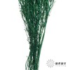 干花 | 小扇叶深绿 商品缩略图3