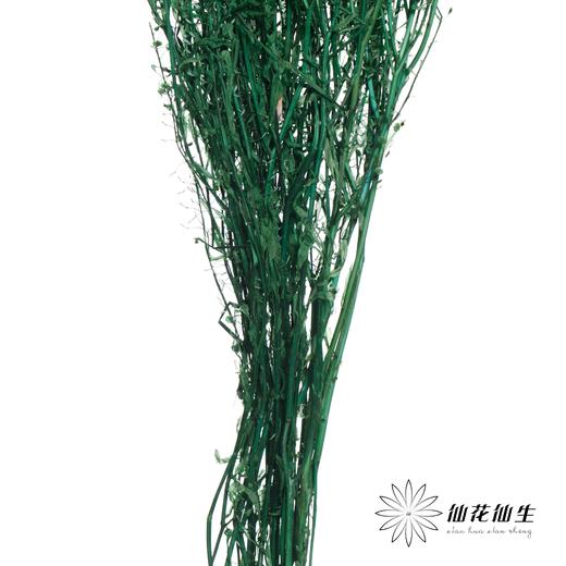 干花 | 小扇叶深绿 商品图3