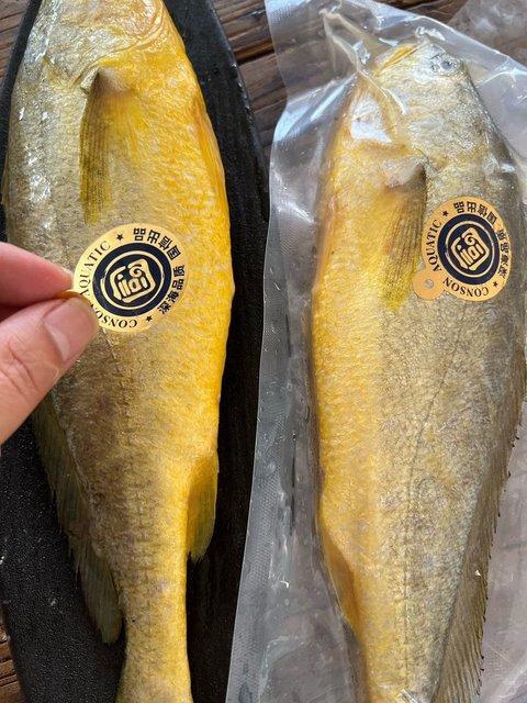 【顺丰包邮】【京东包邮 国信大黄花鱼 国内纯净水域养殖野游黄花鱼 肉质更紧实 口感更鲜美  基地直邮 商品图2