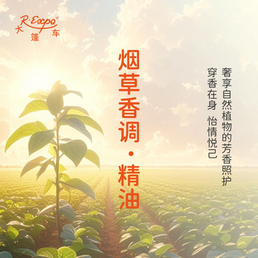 烟草香调·精油植物精油适用香水护肤洗护产品空间香氛 大篷车精油 商品图2