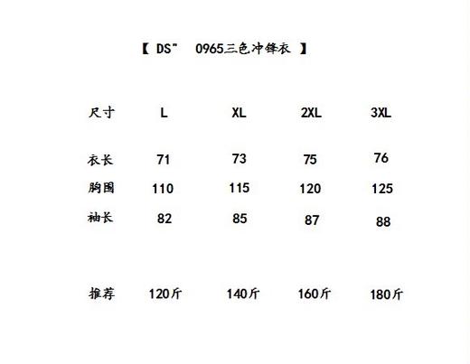 点此购买 迪桑特春秋季男士冲锋衣外套 qk 296823 商品图14