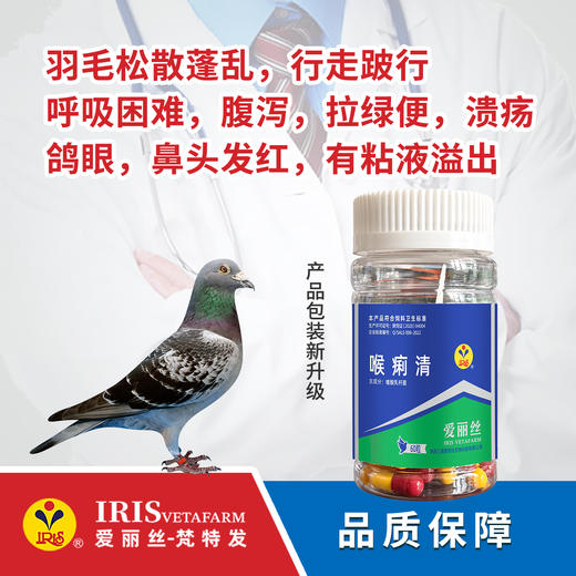 【爱丽丝】喉痢清(粉剂)50克/胶囊60粒 商品图1