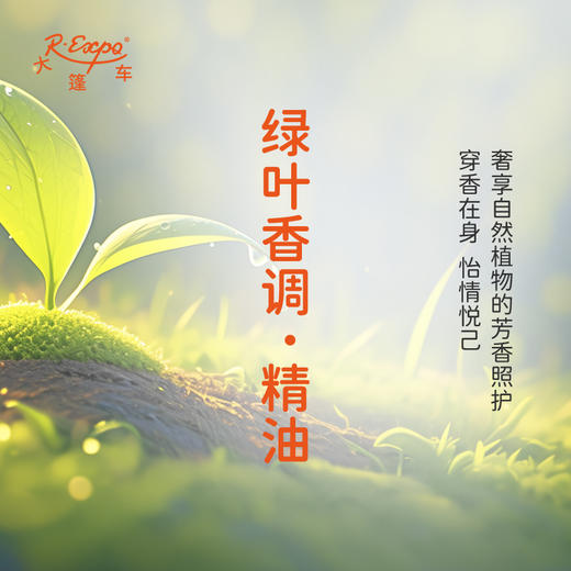 绿叶香调·精油 植物精油 适用香水沙龙 护肤洗护产品 大篷车精油 商品图2
