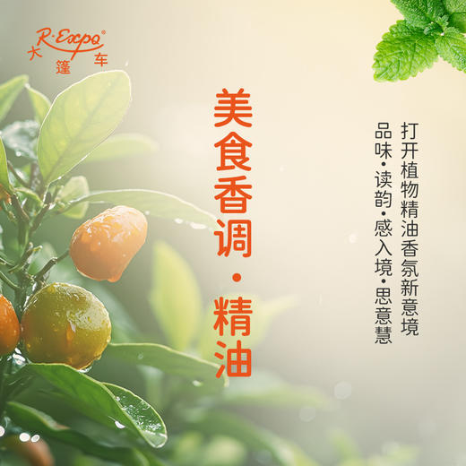 美食香调·精油 植物精油香氛 适用香水 护肤洗护产品 大篷车精油 商品图0