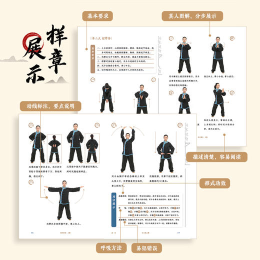 大舞 国术健身健身气功 太极养生功法 太极养生棍 适合老年人看的书 老年人书籍 武术书籍 老祖宗的运动健康智慧 商品图2