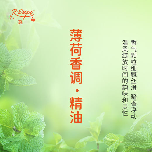 薄荷香调·精油 植物精油 适用香水沙龙 护肤洗护产品 大篷车精油 商品图1