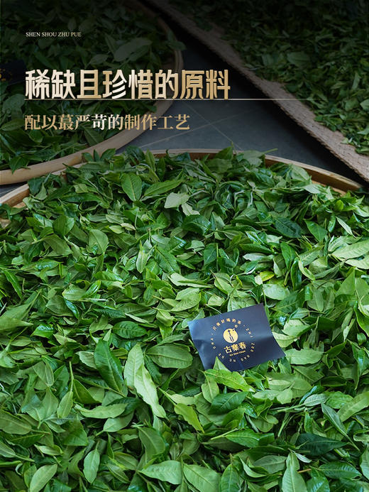 【神兽朱雀】2024年神兽系列收官巨作，普洱茶区用料之巅，1箱内含5饼共1785克 商品图9