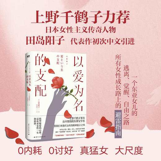 以爱为名的支配 田岛阳子 外国文学日本女性主义 商品图0