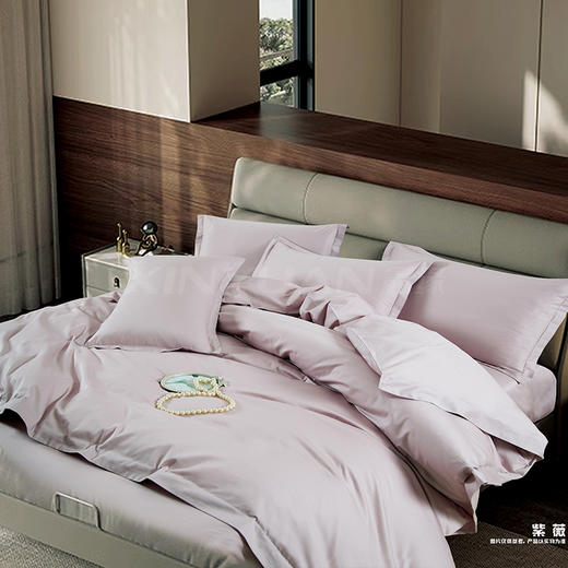 鑫缘 精品全棉斜纹四件套 DMJ2418 商品图1