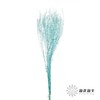 干花 | 小扇叶蒂芙尼蓝 商品缩略图1