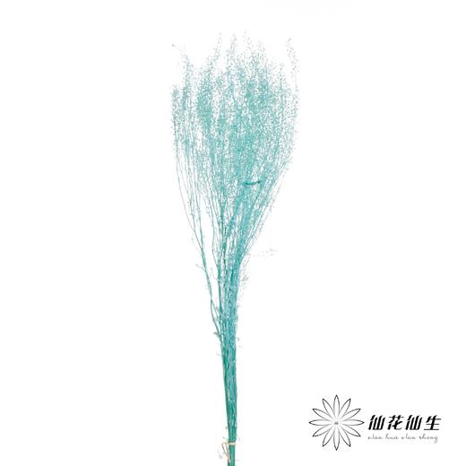 干花 | 小扇叶蒂芙尼蓝 商品图1