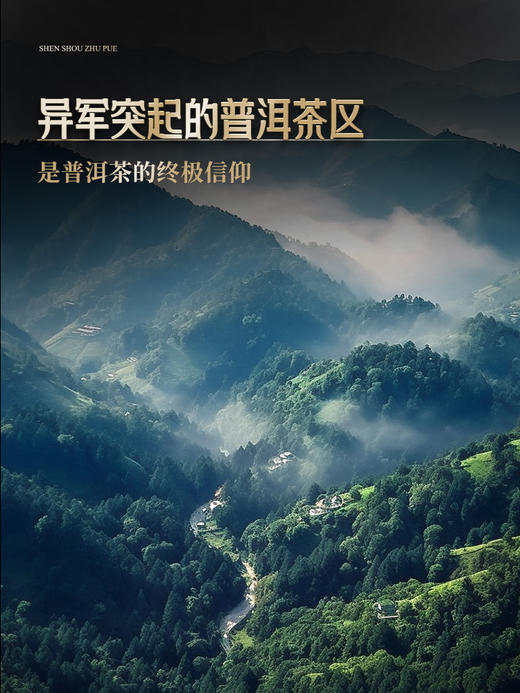 【神兽朱雀】2024年神兽系列收官巨作，普洱茶区用料之巅，1箱内含5饼共1785克 商品图6