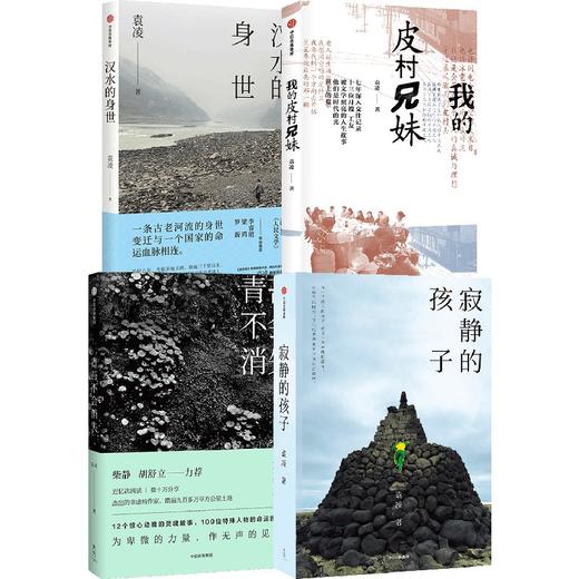 中信出版 | 我的皮村兄妹/青苔不会消失/寂静的孩子/汉水的身世 套装单册可选 商品图0