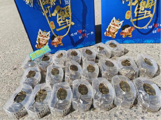蓝箱至尊盘锦河蟹礼礼盒（公母混） 商品图1