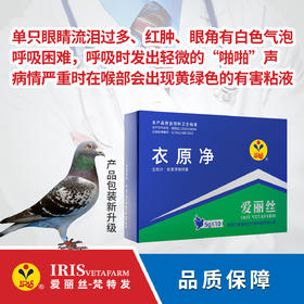 【爱丽丝】衣原净（粉剂）50克