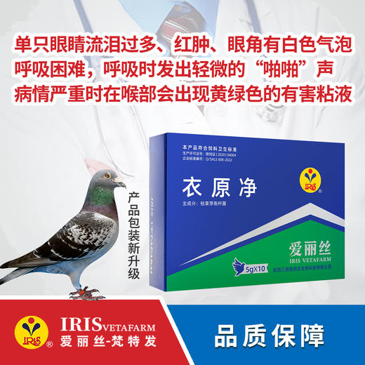 【爱丽丝】衣原净（粉剂）50克 商品图0