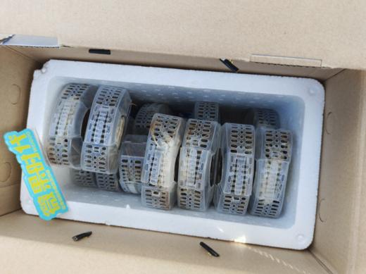 蓝箱至尊盘锦河蟹礼礼盒（公母混） 商品图3