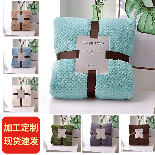 跨境毯子加厚菠萝格毛毯纯色网眼法兰绒毛毯贝贝绒外贸礼品毯批发 商品图0