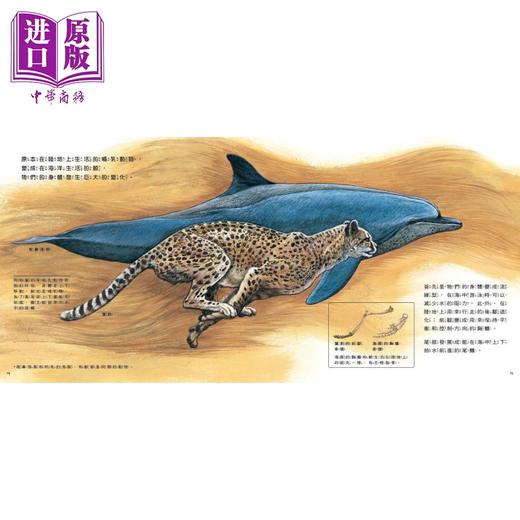 【中商原版】从陆地到海洋 鲸的演化 新的鲸知识 海洋科学绘本 港台原版 儿童知识绘本 自然科学读物 动物百科图画书 精装童书 商品图3