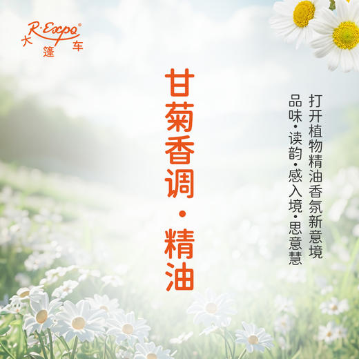 甘菊香调·精油 植物精油适用香水护肤洗护产品空间香氛大篷车精油 商品图0