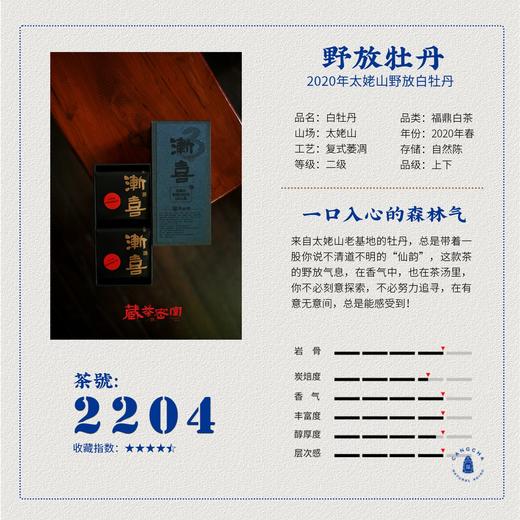 三年陈福鼎老白茶白牡丹 福建太姥山磻溪炭焙密室典藏存储 商品图3