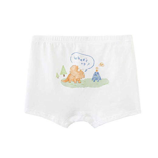 英氏2件装 童装男宝宝学生平角莫代尔内裤YLSDJ0P012A 商品图2