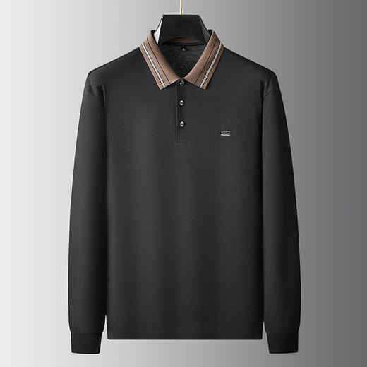 【新款DDA】大依优型大码长袖Polo衫翻领加肥加大肥佬休闲商务宽松透气上衣打底 商品图2