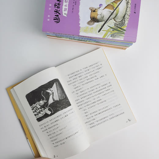 【奇想国】新书《幽光森林的居民们》（全7册）（奇想国世界畅销小说系列） 商品图4