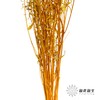 干花 | 小扇叶橙黄 商品缩略图3