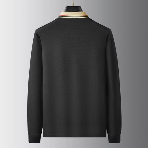 【新款DDA】大依优型大码长袖Polo衫翻领加肥加大肥佬休闲商务宽松透气上衣打底 商品图2