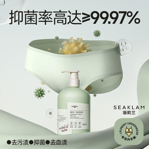 【秒杀 国庆出游必备】海肌兰内衣清洗液520ml（茶花香）泵头款+清洗液80ml 商品图1