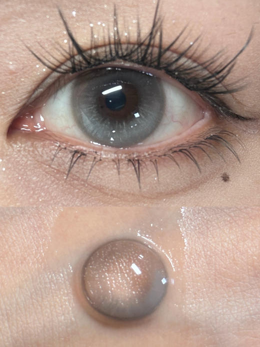 半年抛丨杏仁脆脆·Doriscon丨14.2mm（半年抛/2片装） 商品图3