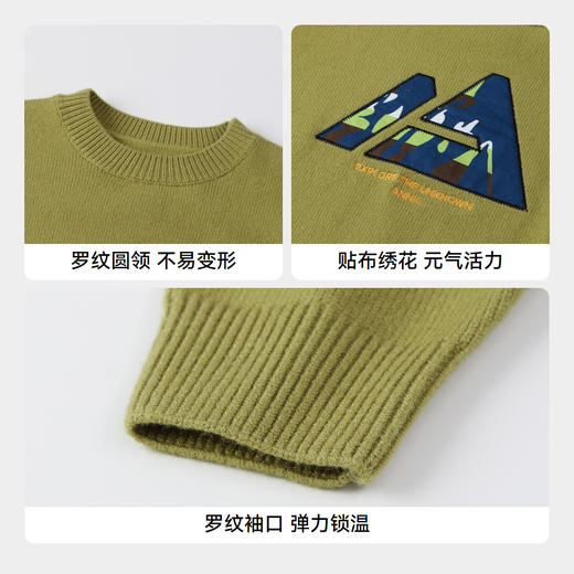 男童潮趣绣花毛衣安奈儿童装AB434517 商品图4