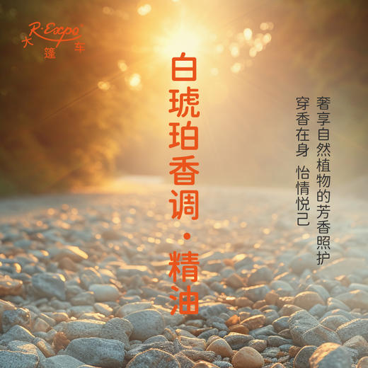 白琥珀香调·精油 植物精油香氛 适用香水 护肤洗护产品 大篷车精油 商品图2