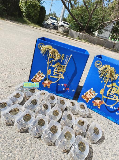 蓝箱至尊盘锦河蟹礼礼盒（公母混） 商品图2