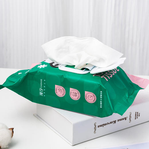 淳汐湿厕纸80抽（240746） 商品图2