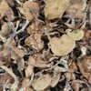长白山干木耳200g 장백산말린목이버섯200g 商品缩略图0