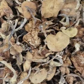 长白山干木耳200g 장백산말린목이버섯200g