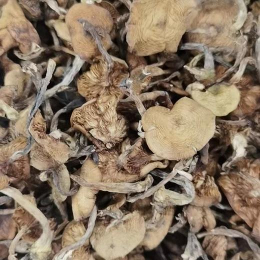 长白山干木耳200g 장백산말린목이버섯200g 商品图0