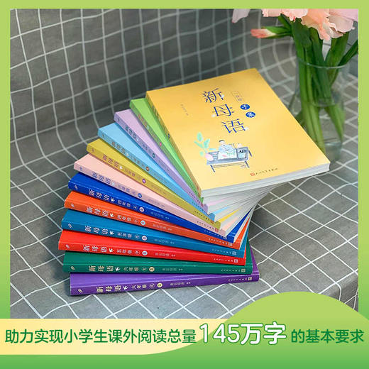 全彩套装共12册新母语一二三四五六年级日有所诵进阶版 商品图2