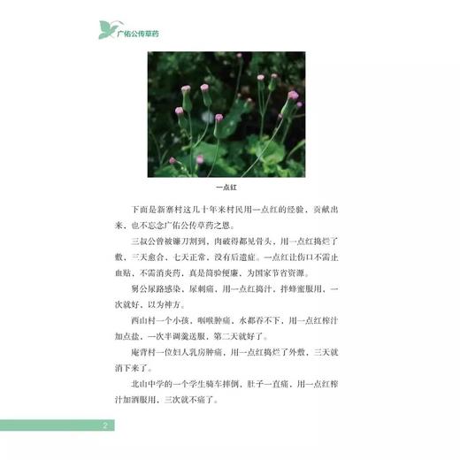 正版 广佑公传草药 曾培杰著 轻松掌握草药的奥秘 将用药智慧与经验融入故事 传承草药学知识 辽宁科学技术出版社9787559137128 商品图4