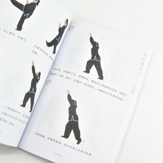 大舞 国术健身健身气功 太极养生功法 太极养生棍 适合老年人看的书 老年人书籍 武术书籍 老祖宗的运动健康智慧 商品图3