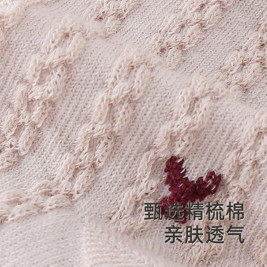 【商场同款】英氏儿童袜子男童女童防臭四季袜新款短袜两双装 商品图1